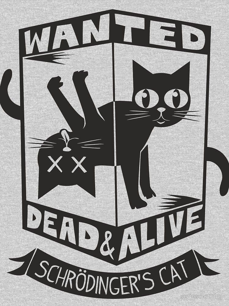 El gato de Schrodinger